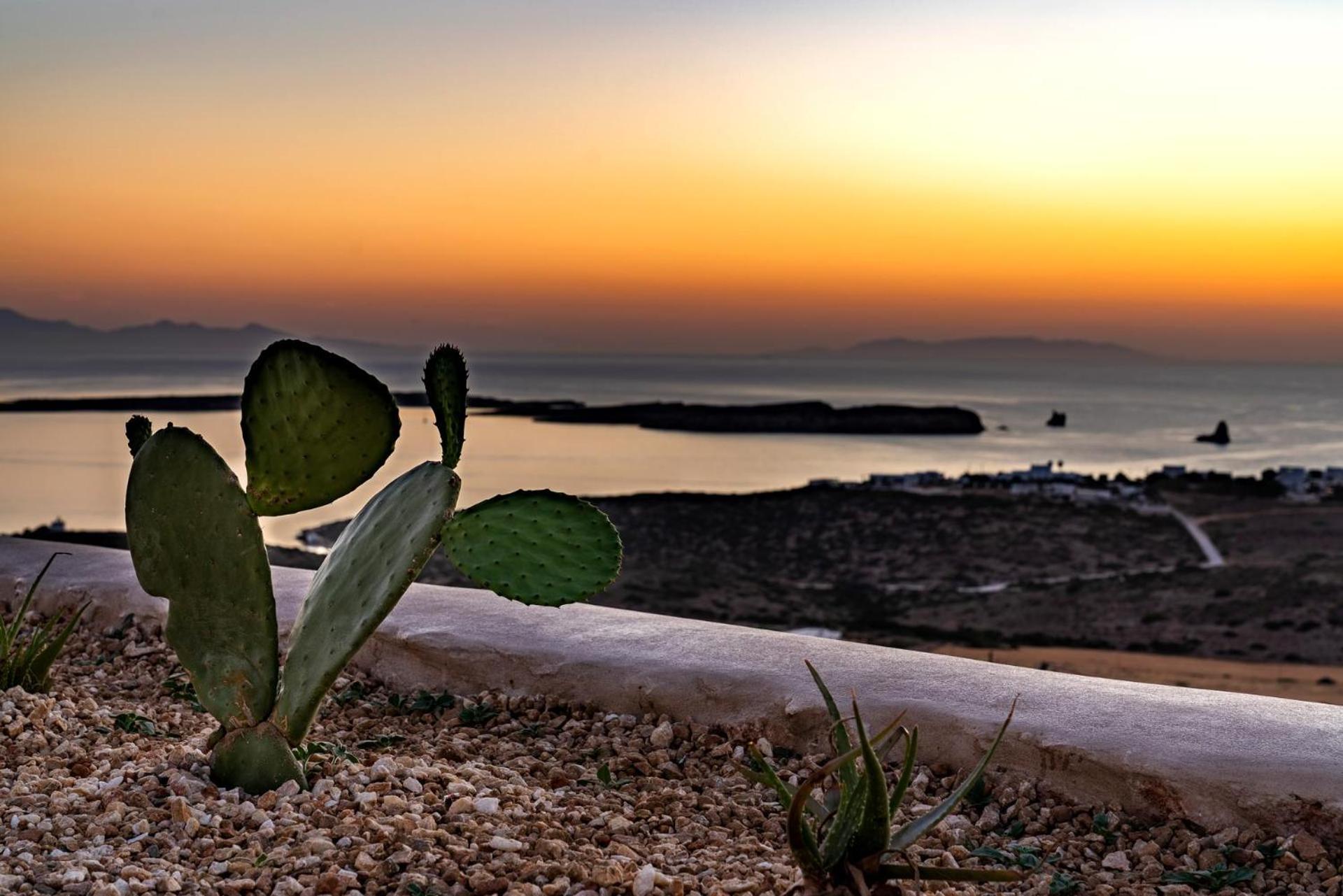 Mythic Paros , Adults Only Hotel